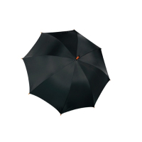 BERN - Parasol automatyczny