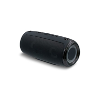 Large speaker with shoulder strap 20W, czarny