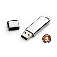 Pamięć USB VERONA 16 GB srebrny