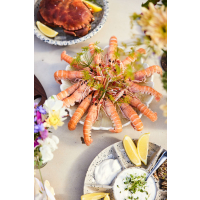 TALERZ DAGNY, ŚREDNI BIAŁY