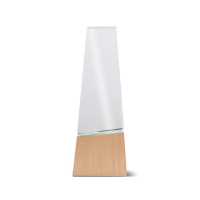 Trofeum z drewna i szkła z pudełkiem prezentowym / Best