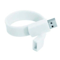 USBRACE - Pamięć USB