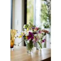 WAZON VIVA, DUŻY TRANSPARENTNY