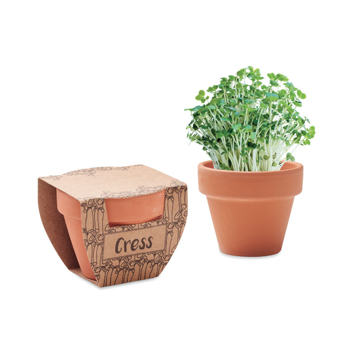 CRESS POT - Nasiona rzeżuchy w doniczce, Drewna