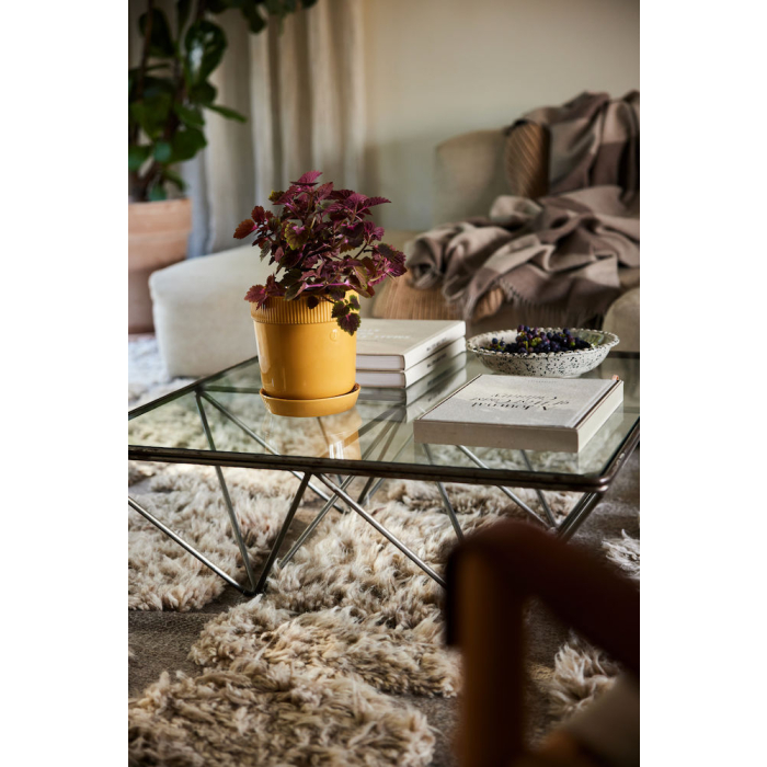 DONICZKA ELISE, ŚREDNIA Ż&Oacute;ŁTA