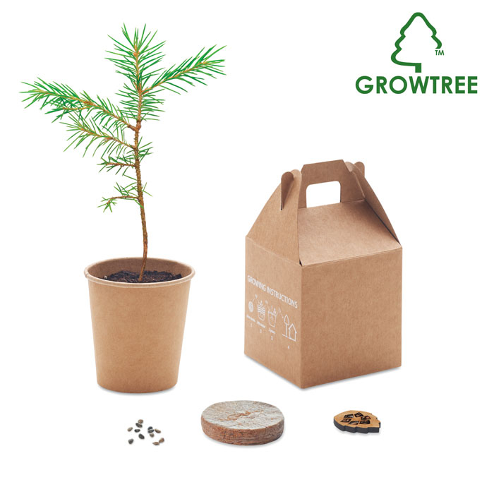 GROWTREE™ - Nasiona sosny, torf, doniczka, Bezowy