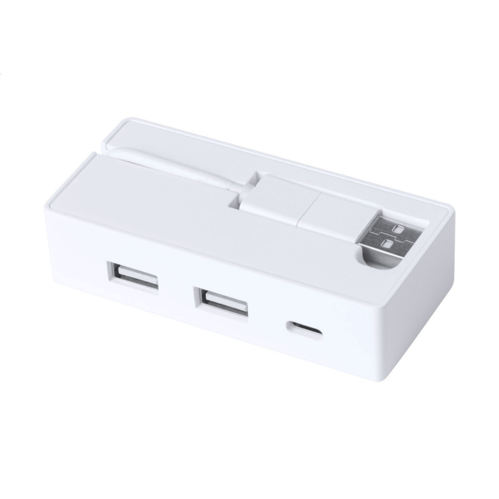 hub USB RABS