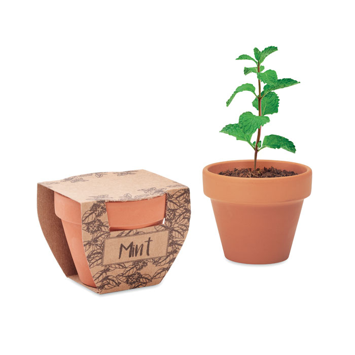 MINT POT - Nasiona mięty w doniczce, Drewna