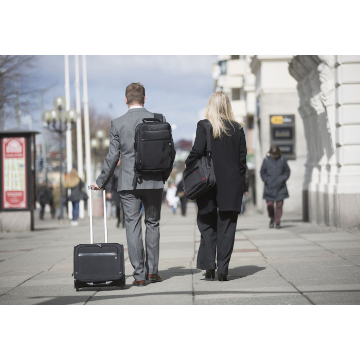 PRO LINE COMPUTER BACKPACK