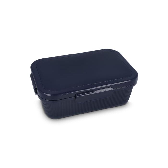 Pudełko na jedzenie Sagaform Tina  , niebieski