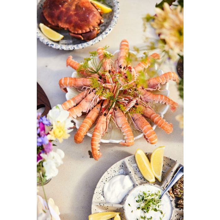 TALERZ DAGNY, ŚREDNI BIAŁY