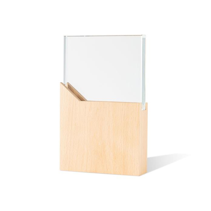 Trofeum z metalu i szkła / Reward